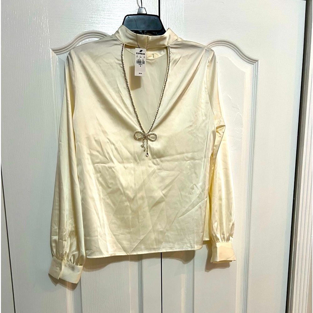Express Medium Long Sleeve Woman V- Neck Blouse with stones around & below neck - Picture 3 of 7